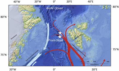 Pelagic Amphipods in the Eastern Fram Strait With Continuing Presence of Themisto compressa Based on Sediment Trap Time Series